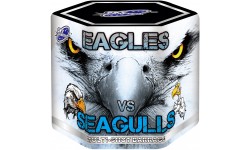 EAGLES VS SEAGULLS