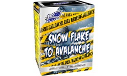 SNOW FLAKE TO AVALANCHE